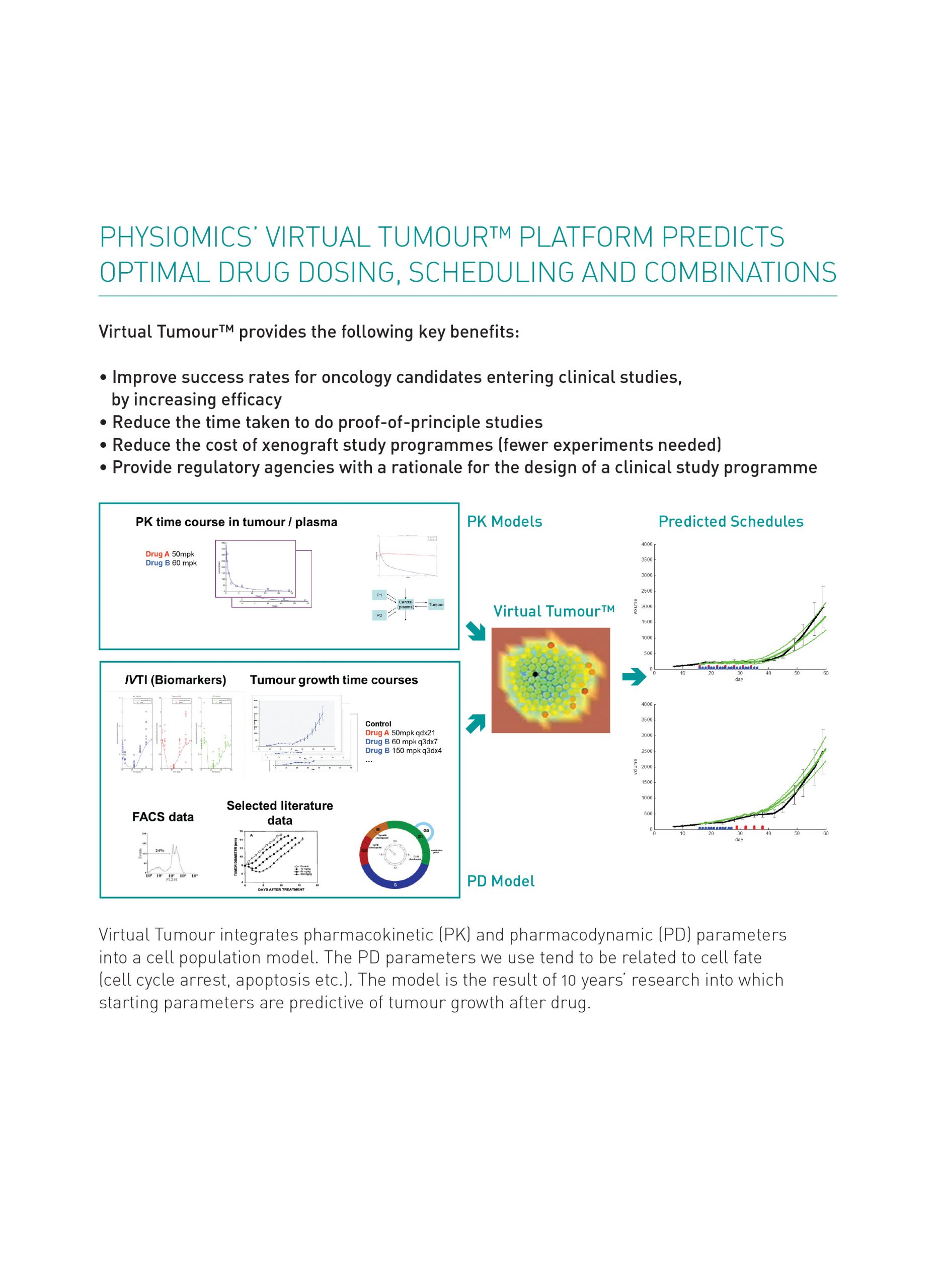 physiomicsFlyer_VirtualTum-3